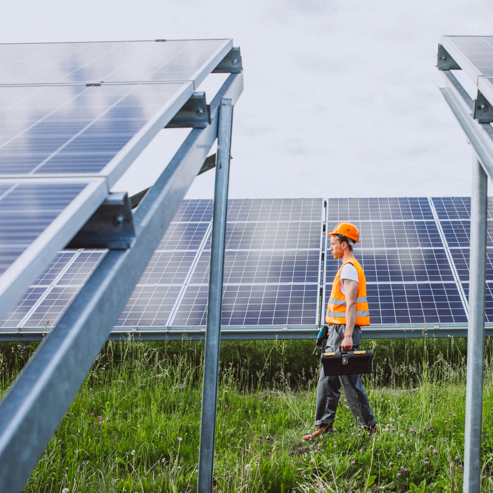_man-worker-firld-by-solar-panels